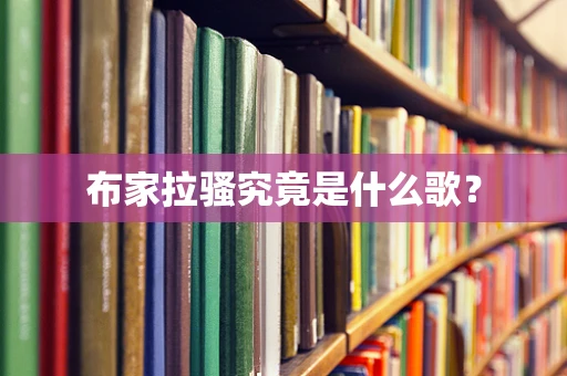 布家拉骚究竟是什么歌？