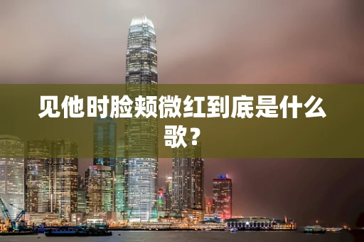 见他时脸颊微红到底是什么歌？