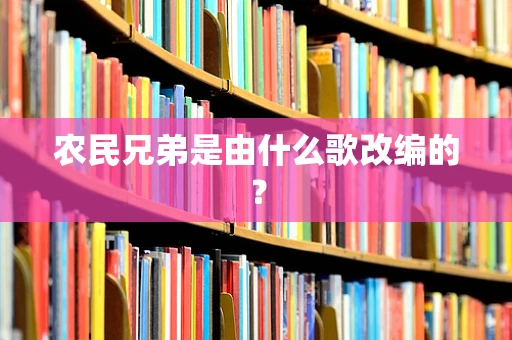 农民兄弟是由什么歌改编的？