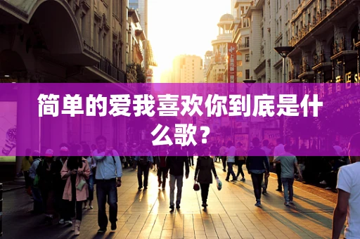 简单的爱我喜欢你到底是什么歌？