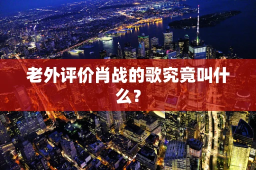 老外评价肖战的歌究竟叫什么？