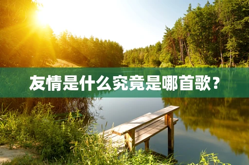 友情是什么究竟是哪首歌？