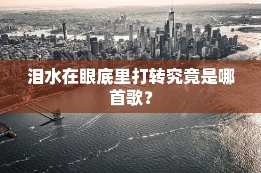 泪水在眼底里打转究竟是哪首歌？