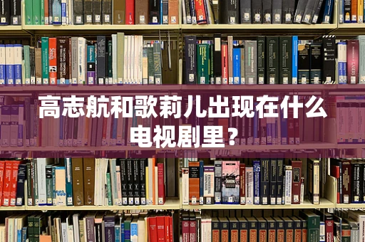 高志航和歌莉儿出现在什么电视剧里？
