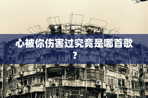 心被你伤害过究竟是哪首歌？