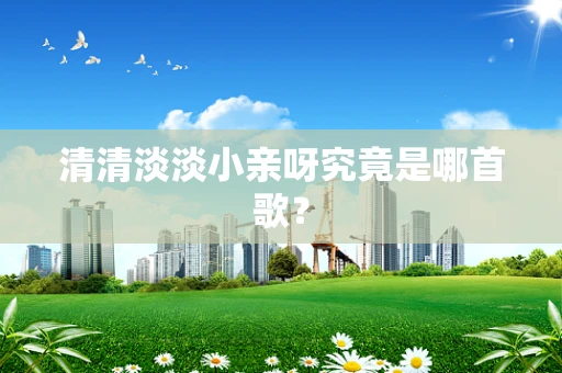 清清淡淡小亲呀究竟是哪首歌？