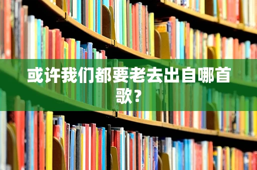 或许我们都要老去出自哪首歌？