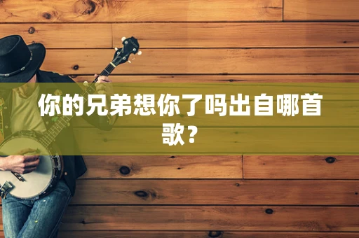 你的兄弟想你了吗出自哪首歌？
