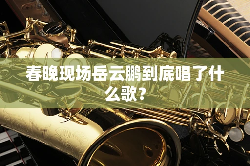 春晚现场岳云鹏到底唱了什么歌？