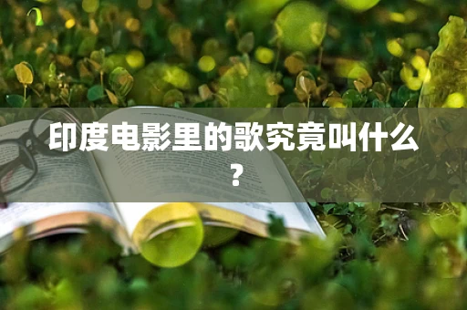 印度电影里的歌究竟叫什么？