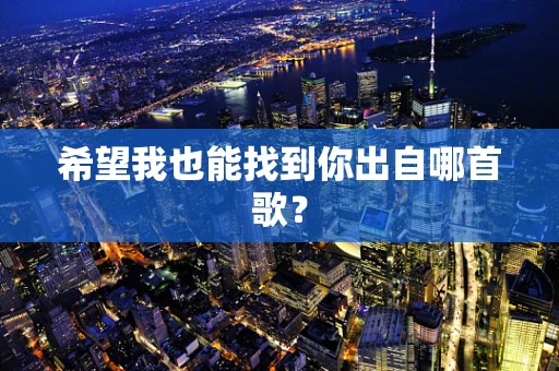 希望我也能找到你出自哪首歌？