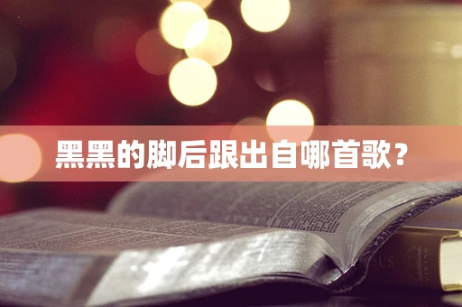 黑黑的脚后跟出自哪首歌？