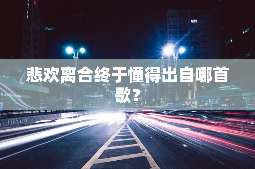 悲欢离合终于懂得出自哪首歌？