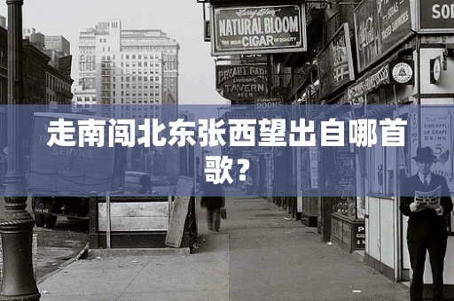 走南闯北东张西望出自哪首歌？