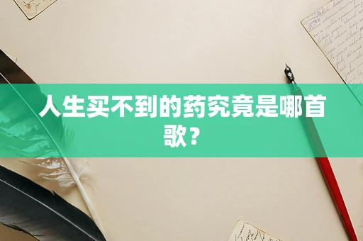 人生买不到的药究竟是哪首歌？