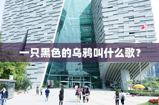 一只黑色的乌鸦叫什么歌？