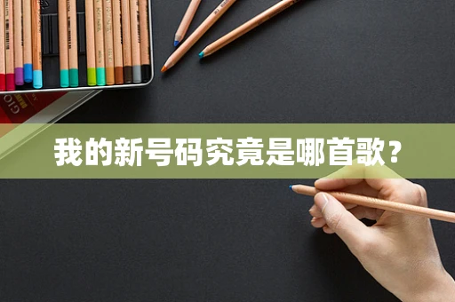 我的新号码究竟是哪首歌？