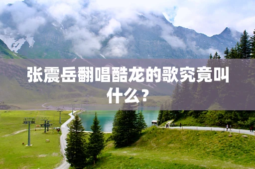 张震岳翻唱酷龙的歌究竟叫什么？