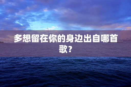 多想留在你的身边出自哪首歌？