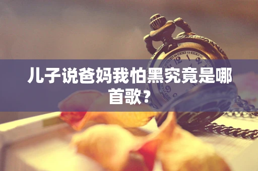 儿子说爸妈我怕黑究竟是哪首歌？
