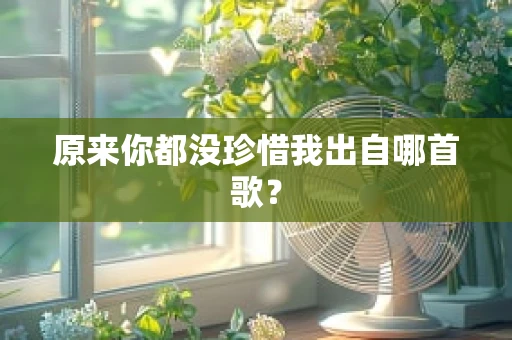 原来你都没珍惜我出自哪首歌？