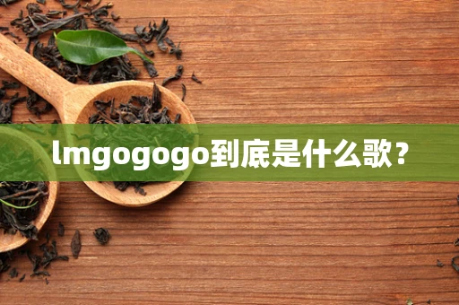 lmgogogo到底是什么歌？