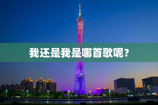 我还是我是哪首歌呢？