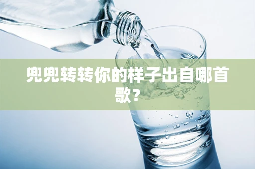 兜兜转转你的样子出自哪首歌？