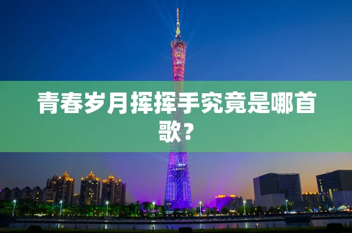 青春岁月挥挥手究竟是哪首歌？