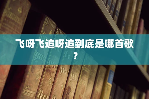 飞呀飞追呀追到底是哪首歌？