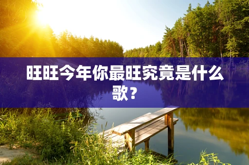 旺旺今年你最旺究竟是什么歌？