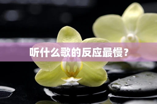 听什么歌的反应最慢？