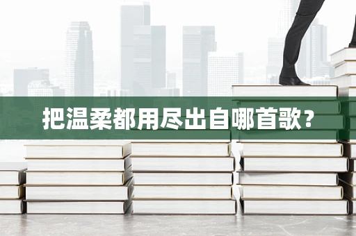 把温柔都用尽出自哪首歌？
