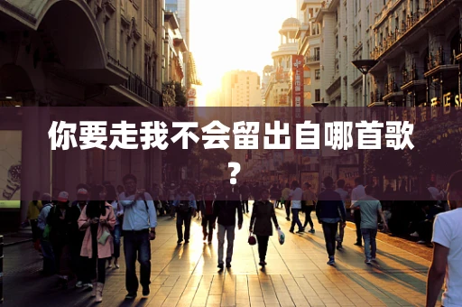 你要走我不会留出自哪首歌？