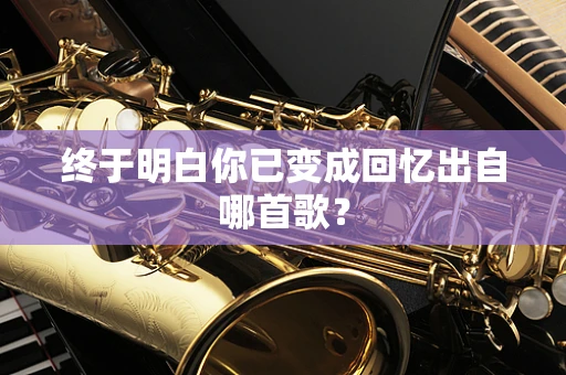 终于明白你已变成回忆出自哪首歌？