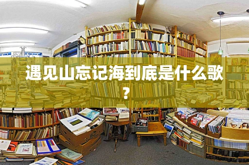 遇见山忘记海到底是什么歌？