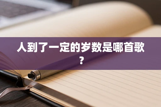 人到了一定的岁数是哪首歌？
