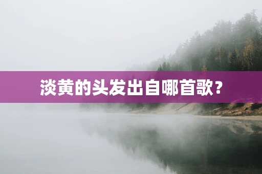 淡黄的头发出自哪首歌？