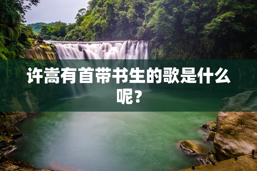 许嵩有首带书生的歌是什么呢？