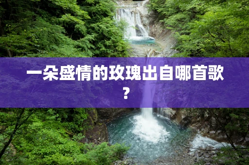 一朵盛情的玫瑰出自哪首歌？