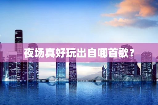 夜场真好玩出自哪首歌？