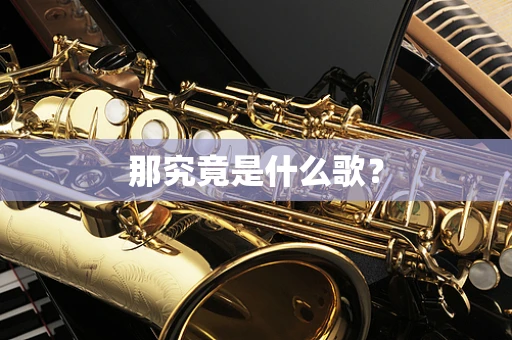 那究竟是什么歌？