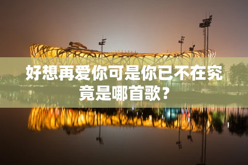 好想再爱你可是你已不在究竟是哪首歌？