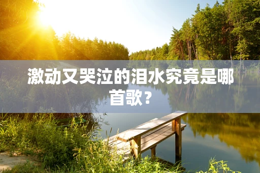 激动又哭泣的泪水究竟是哪首歌？