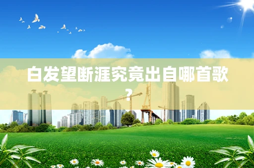 白发望断涯究竟出自哪首歌？