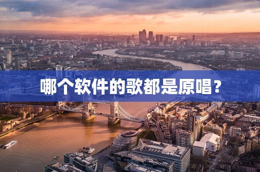 哪个软件的歌都是原唱？