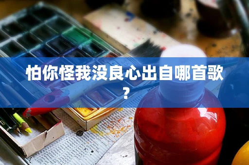 怕你怪我没良心出自哪首歌？