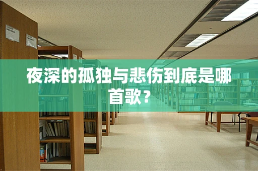 夜深的孤独与悲伤到底是哪首歌？