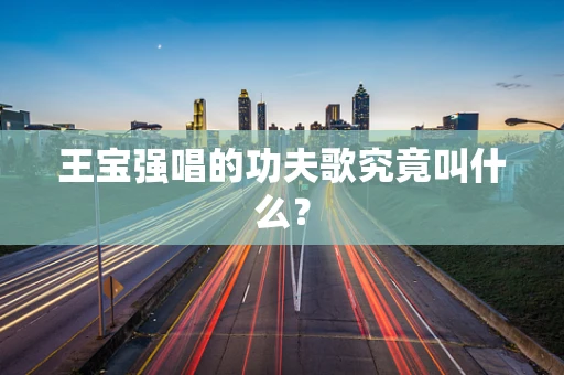 王宝强唱的功夫歌究竟叫什么？