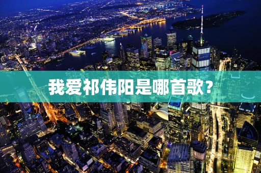 我爱祁伟阳是哪首歌？
